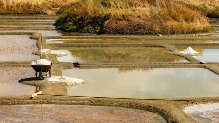 The salt marshes in Guerande